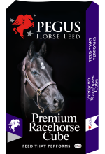 Premium Racehorse Cube 20kg product