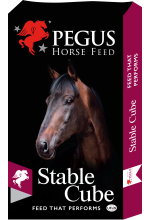 Find more about Stable Cube 20kg Stable Cube 20kg product