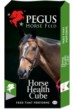 Pegus Horse-Health Cube product
