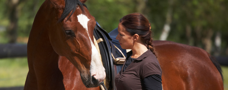 Pegus Horsefeed