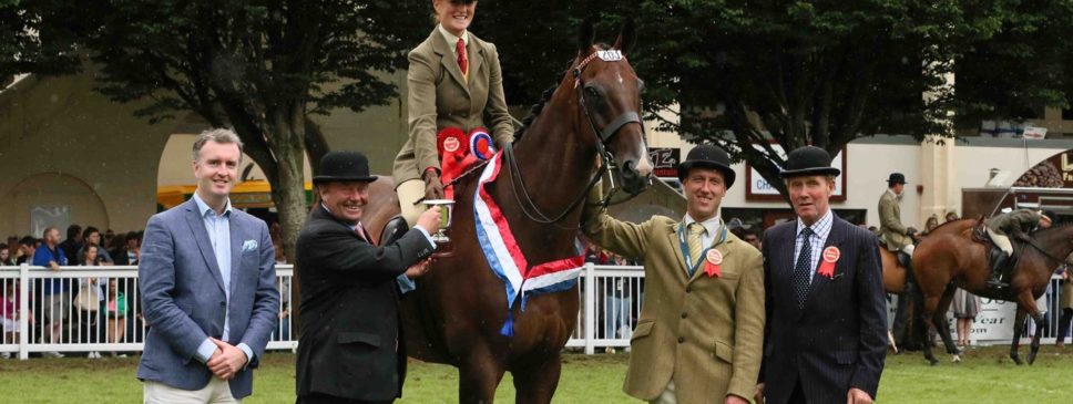 Pegus Horse feed helps winning the Powers Gold Cup