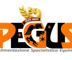 logo_pegus_home (1)