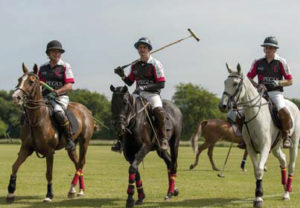 David Stone, MD of Pegus Horse Feed, Pictured above, as part of Team Pegus polo team