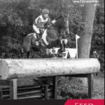 newsletter au 17