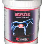 Digestaid