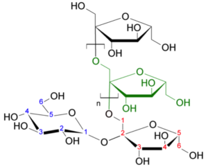 fruktanmolekyl