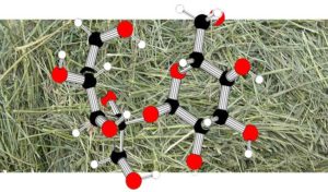 haysugarmolecule