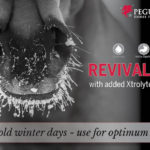 revival mash_cold weather