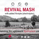 revival mash_hunting