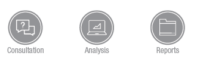 consultations-reports-and-analysis consultations reports and analysis