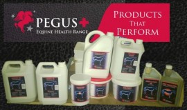 Equine Health Supplements