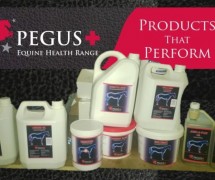 Equine Health Supplements